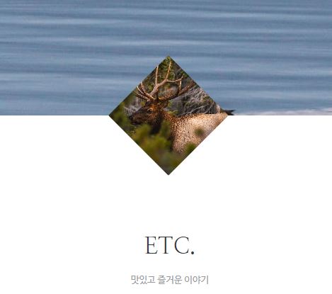 태상의 미니샵 바로가기로 확인하는 생활 정보의 다양성